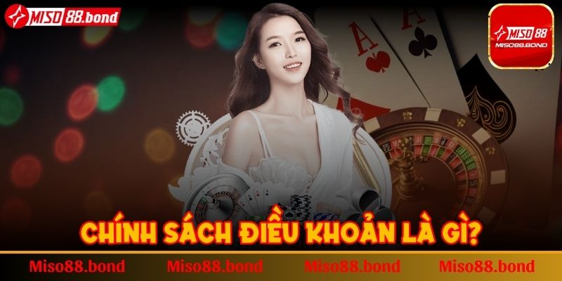 Chính sách điều khoản là gì?