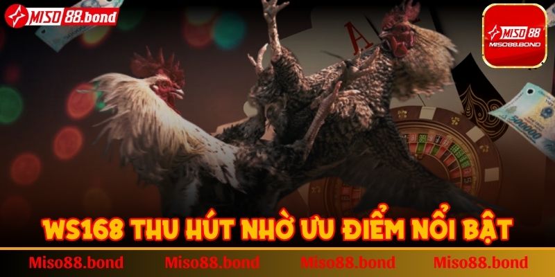 WS168 thu hút nhờ ưu điểm nổi bật