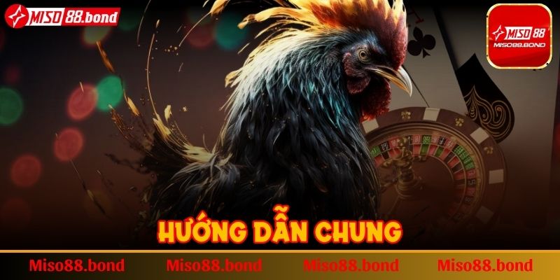 Hướng dẫn chung